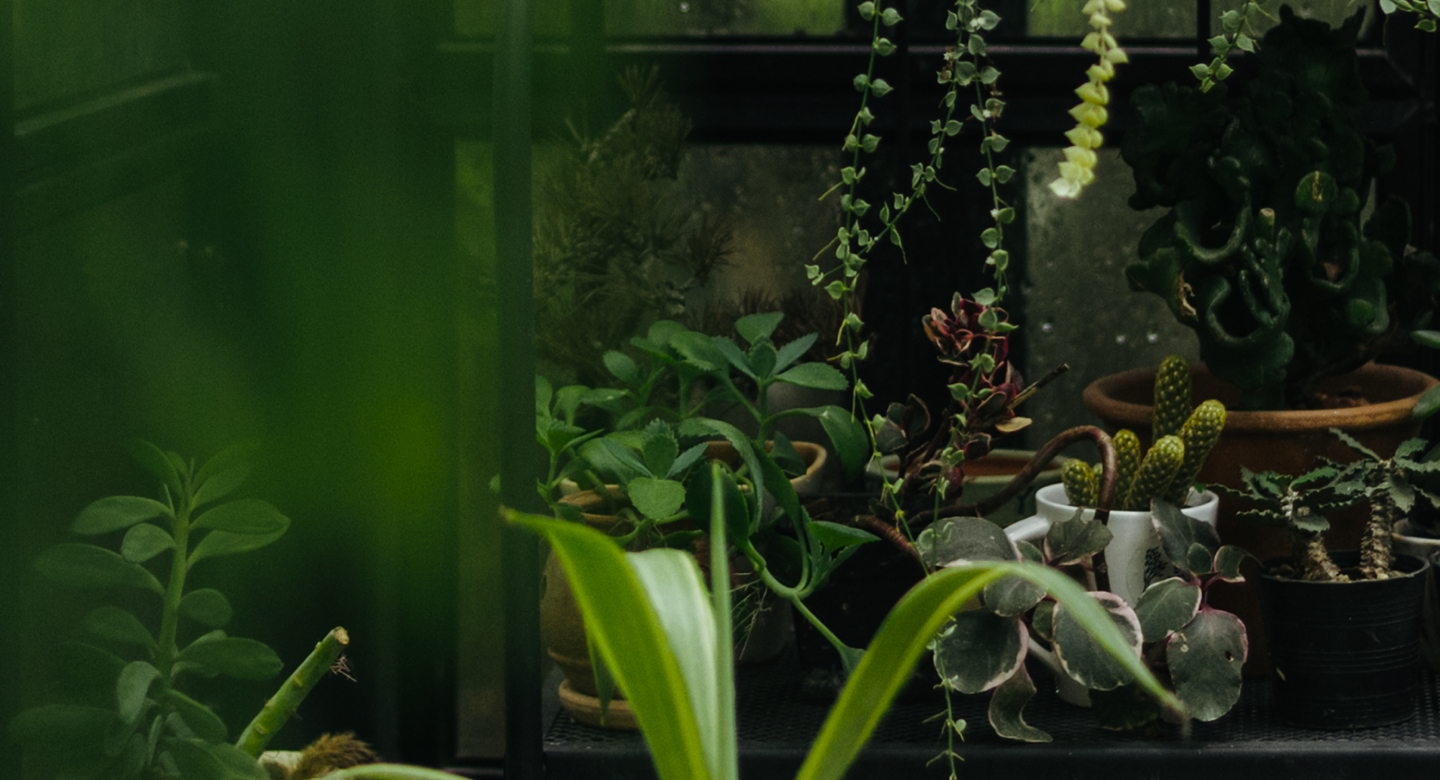 hero_bg_2